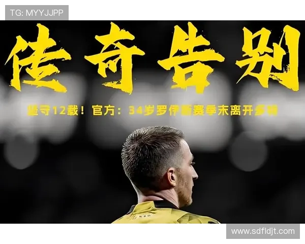 寻找足球明星的足迹与荣耀探索他们的成长故事与赛场传奇